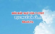 Tục ngữ là gì? Đặc điểm của tục ngữ là gì? Ngữ Văn lớp 7 CTST